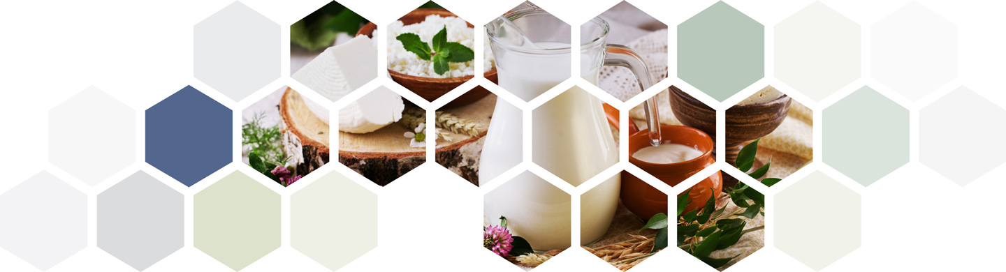 Food Analysis for Milk and Dairy Products with LECO